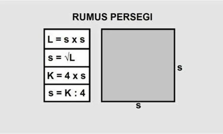 Visualisasi Luas Satu Hektar Rumus matematika luas tanah persegi