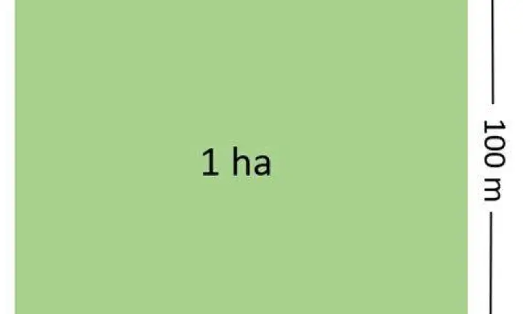 Visualisasi lahan 1 hektar dengan ukuran 100 meter kali 100 meter
