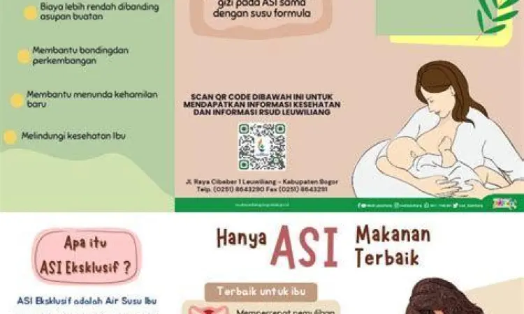Peringatan Hari ASI di Indonesia Kegiatan penyuluhan ASI eksklusif di posyandu Indonesia