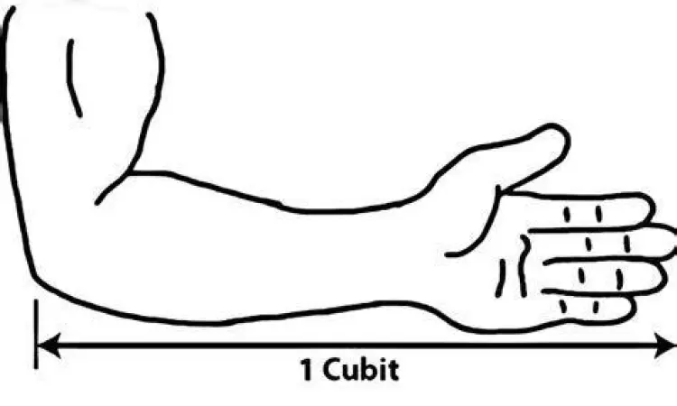 Pengukuran Satuan Hasta cara mengukur satu hasta dari siku ke ujung jari tengah