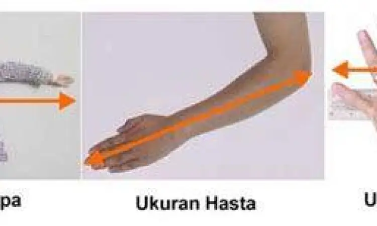 Visualisasi Pengukuran Hasta Cara mengukur satu hasta dari siku ke ujung jari