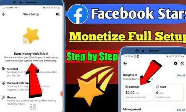 Dashboard pendapatan Facebook Stars