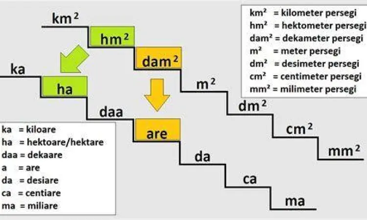 Tabel konversi satuan luas dari hektar ke are dan meter persegi