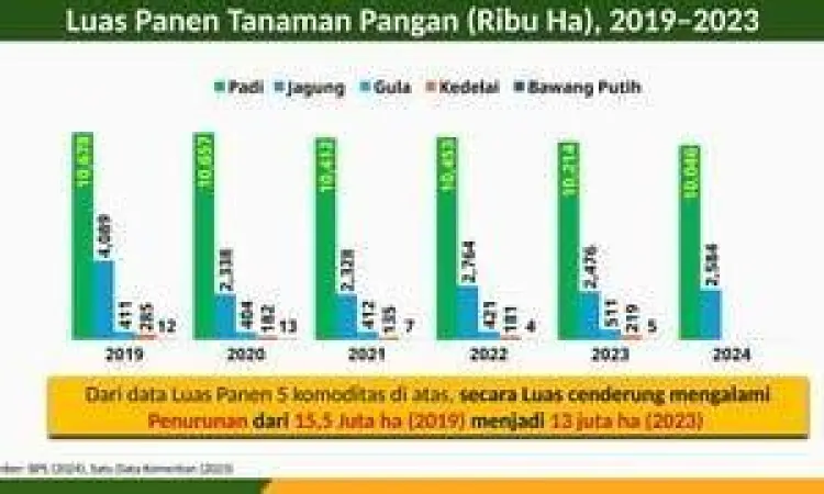 Lahan Pertanian Sumatera lahan kelapa sawit di sumatera