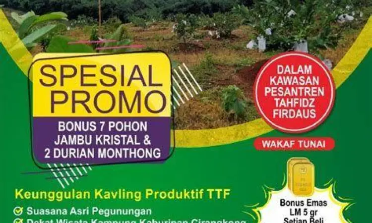 Investasi tanah kavling di pedesaan