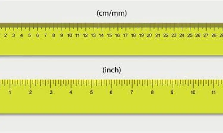 Skala CM dan Inci Perbandingan skala sentimeter dan inci pada penggaris