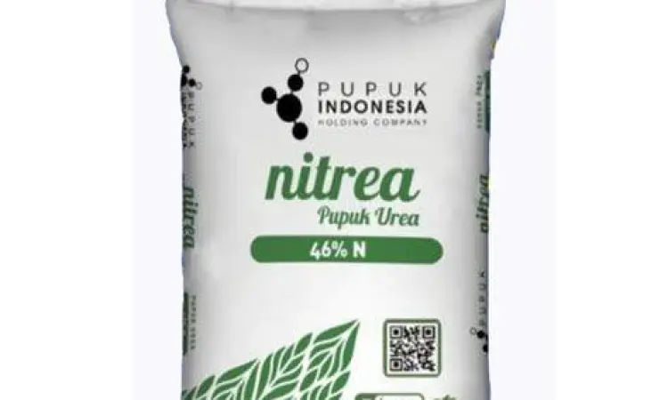 Karung pupuk urea 50kg di gudang pertanian