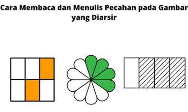 Diagram Pecahan Sepertiga Visualisasi diagram lingkaran satu pertiga