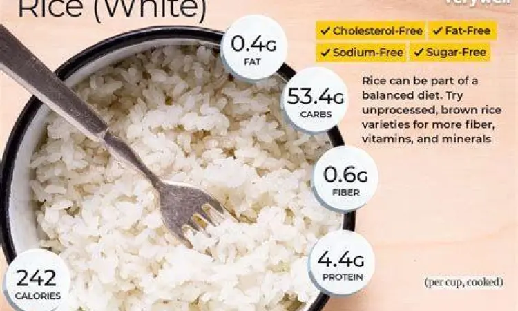 Ilustrasi perbandingan porsi nasi putih di atas piring