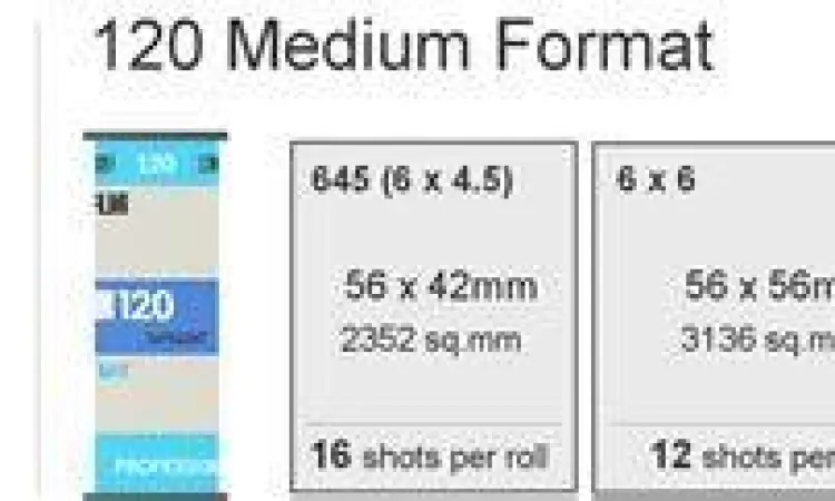 Perbandingan Ukuran Negatif Perbandingan ukuran negatif film 35mm dan 120