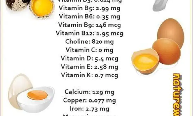 Kandungan Kuning Telur nutrisi kuning telur ayam