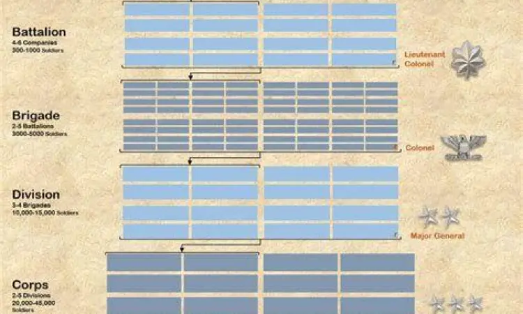 Perbandingan Struktur Internasional Struktur organisasi platoon militer Amerika Serikat