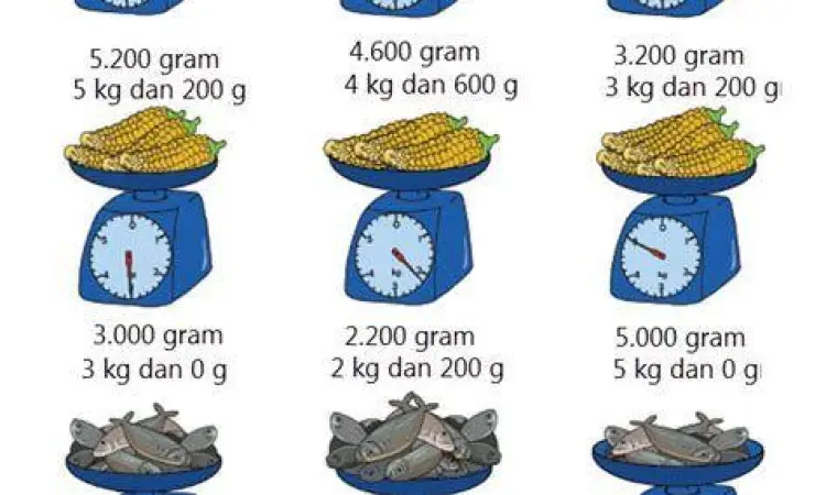 Timbangan Analog dan Digital Perbandingan timbangan pon dan gram