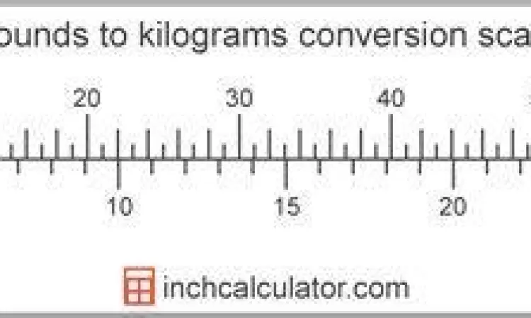 Konversi Kilogram ke Pound Timbangan digital menunjukkan angka kilogram dan lbs