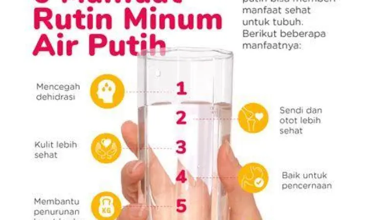Hidrasi Sehat Seseorang sedang minum air putih dari gelas untuk hidrasi