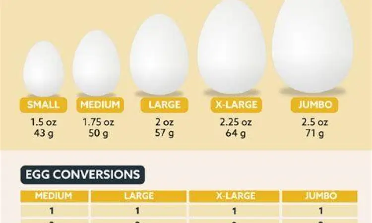 Perbandingan berbagai ukuran telur ayam dari kecil hingga jumbo