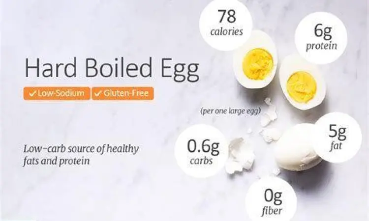 Nutrisi Telur Ayam Kandungan nutrisi telur rebus yang kaya protein dan vitamin