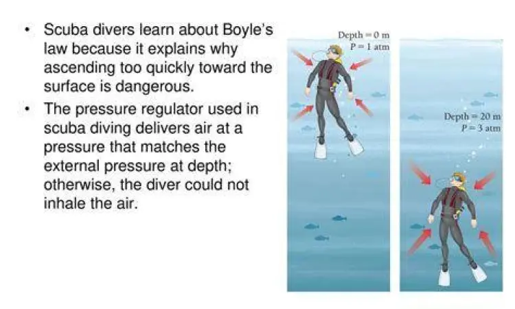 Tekanan di Kedalaman Laut Penyelam di kedalaman laut menahan tekanan atmosfer