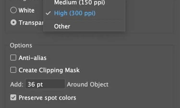 Setting DPI di Photoshop Pengaturan resolusi di software desain