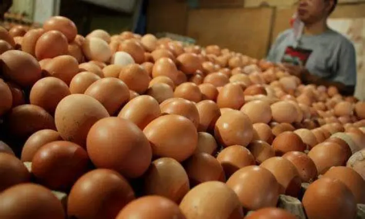 Telur Ayam Ras Pasar tumpukan telur ayam ras segar di pasar tradisional