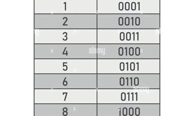 Perbandingan biner vs desimal dalam data