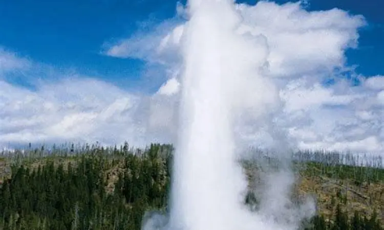 Pemandangan Taman Nasional Yellowstone