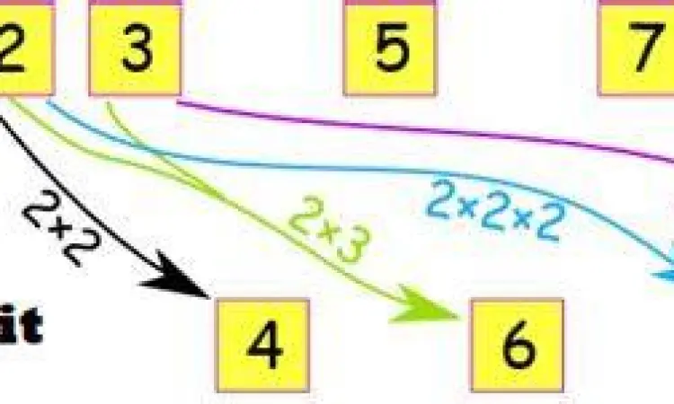 Diagram perbedaan bilangan prima komposit dan angka satu