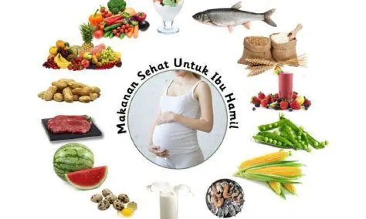 Nutrisi Ibu Hamil Makanan bergizi untuk persiapan kehamilan