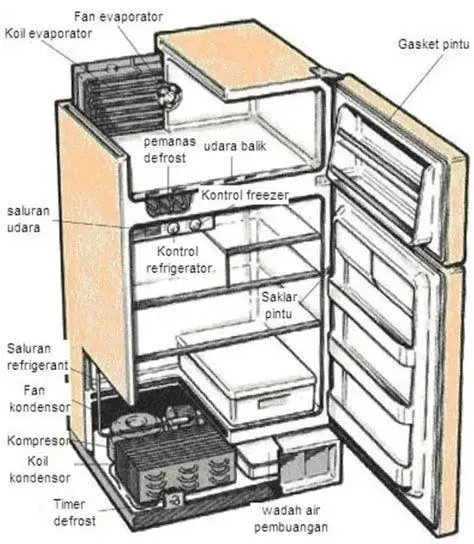 Interior Kulkas Polytron 1 Pintu Isi dalam kulkas Polytron 1 pintu yang rapi