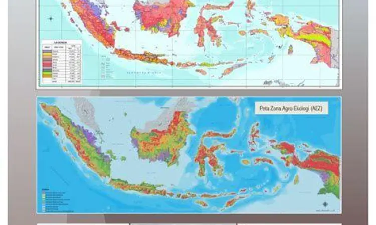 hamparan lahan pertanian luas