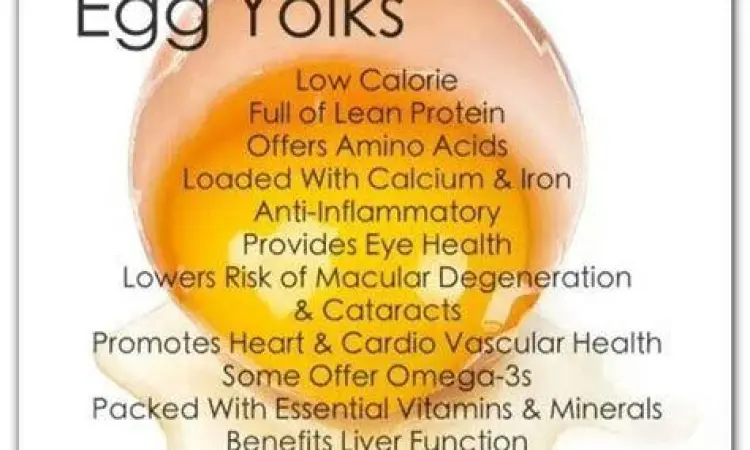 kandungan nutrisi kuning telur