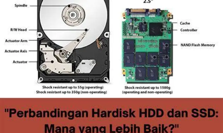 Perbandingan kapasitas SSD dan HDD pada sistem operasi