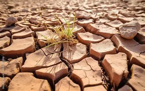 Dampak Perubahan Iklim Tanah retak akibat musim kemarau yang berkepanjangan