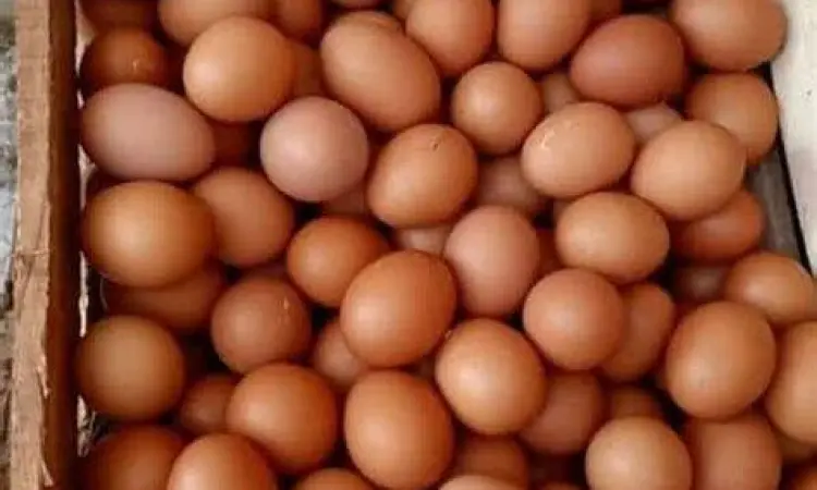 Telur ayam segar dalam wadah