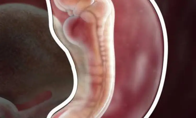 Perkembangan embrio pada usia 5 minggu kehamilan