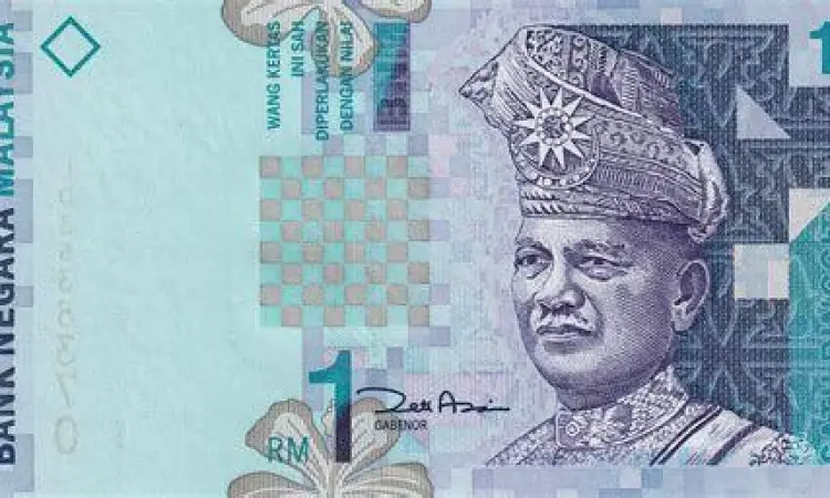 Detail visual uang 1 ringgit malaysia biru polimer